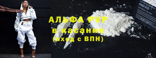 прущий лед Вяземский