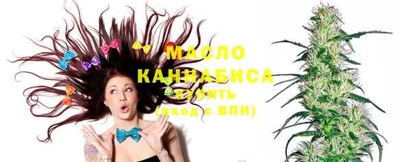 прущий лед Вяземский