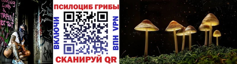 мориарти какой сайт  Королёв  Галлюциногенные грибы Psilocybine cubensis  блэк спрут как зайти 