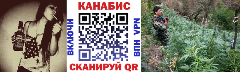 где найти Королёв Марихуана AK-47